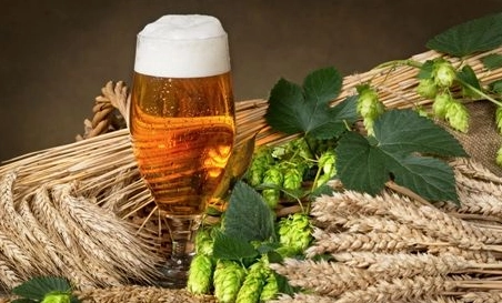 精釀啤酒中，如何選擇恰當(dāng)?shù)慕湻椒ǎ?> </a>
    </dt> 
    <dd> 
     <h4><a href=